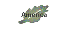 America