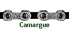 Camargue
