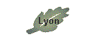 Lyon
