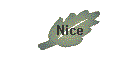 Nice