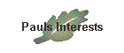 Pauls Interests