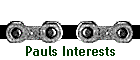 Pauls Interests