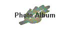 Photo Album